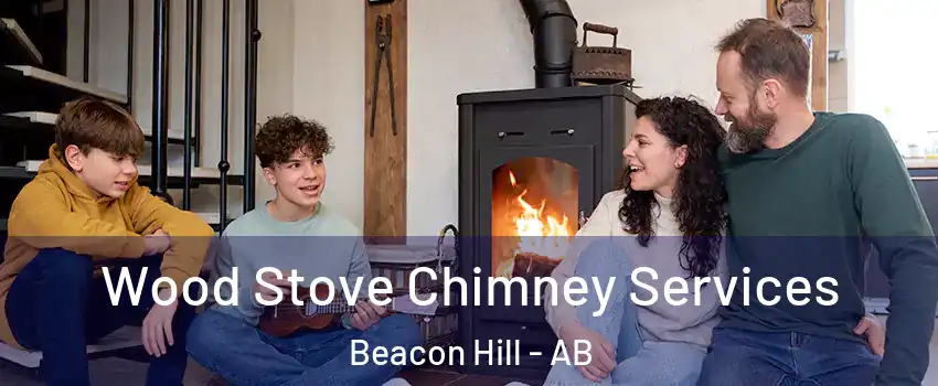  Wood Stove Chimney Services Beacon Hill - AB