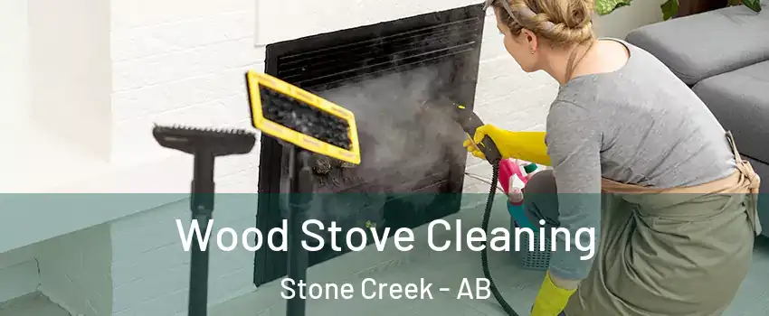 Wood Stove Cleaning Stone Creek - AB