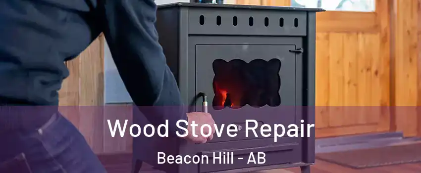  Wood Stove Repair Beacon Hill - AB